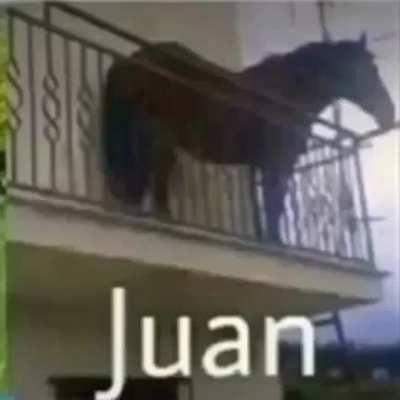 xd (pero triste)