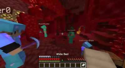 Welcome to the Crimson Forrest..