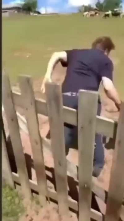Cuida djainho