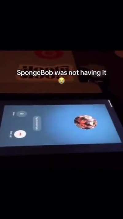 sponge