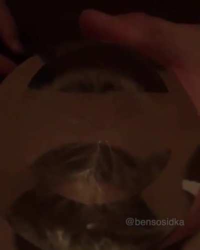 Lightning in a cylinder