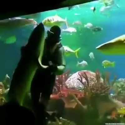 First date