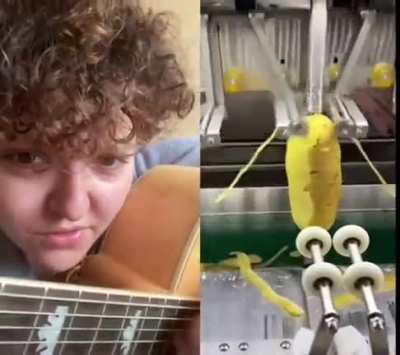 Potato Song