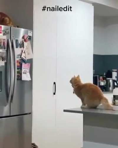 Gravity&rsquo;s a bitch