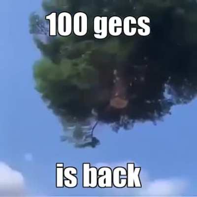:o
