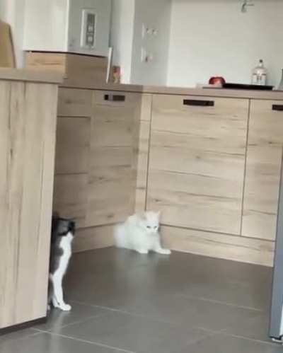 HOW