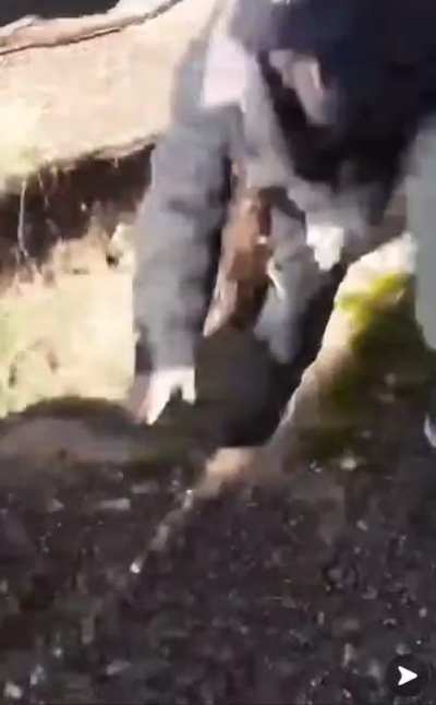 HMFT after stepping on loose concrete.