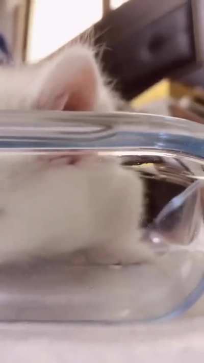 Delicious glass