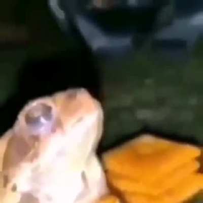Buenas noches 😴🙏