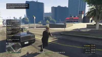 Grandma Theft Auto