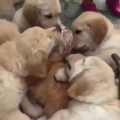 "We love you"
