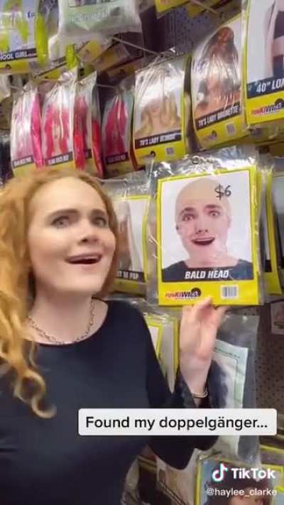 Finding your doppelg&auml;nger