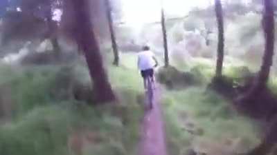 Taking the bicycles out for a ride..