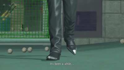 Average day in the Majima family