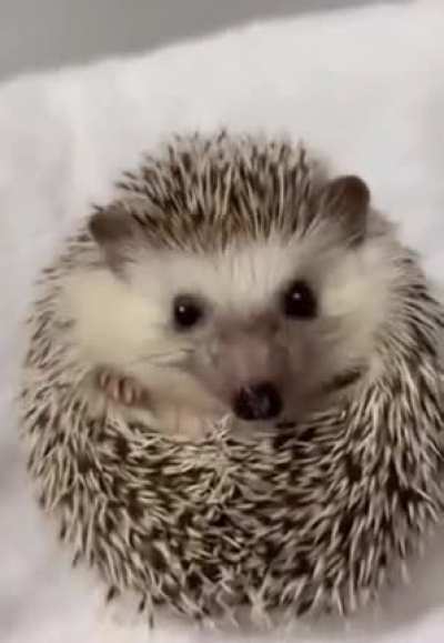 When the waiter brings me my food.