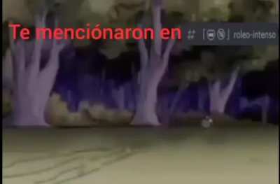 Jajajaja