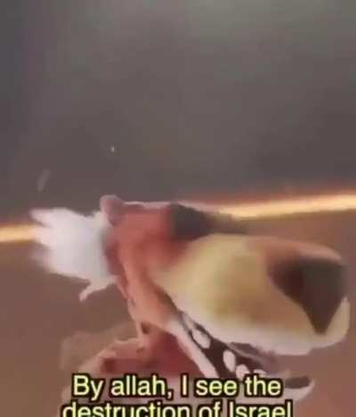 Thi ss bute unironcalley 😩😳😳🇧🇦😎😎🥵🥵🤬🤬🤔🤔😭😢😢🥶😔👍🏿👍🏿🥴🤮👳&zwj;♀️👶🕌🕋🕋