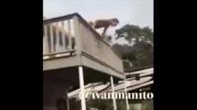 ah&iacute; viene aquaman!!1