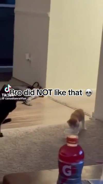 Wunkus would have preferred if he didn&rsquo;t do that.
