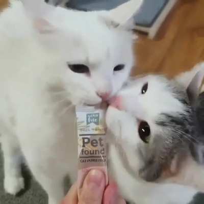 awwwbrupt chaos