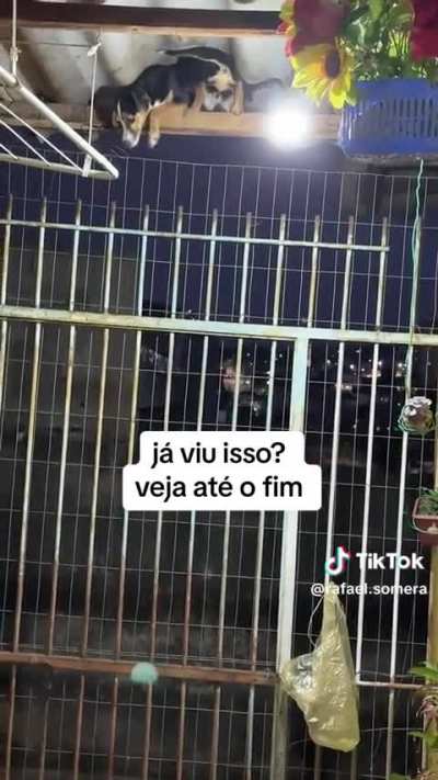 A carinha dela! <3