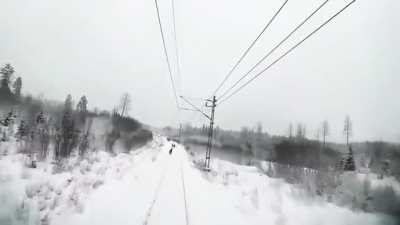Reindeer herd hit by a cargo train