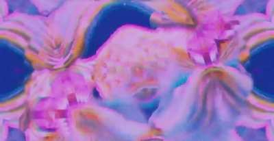 Video edit