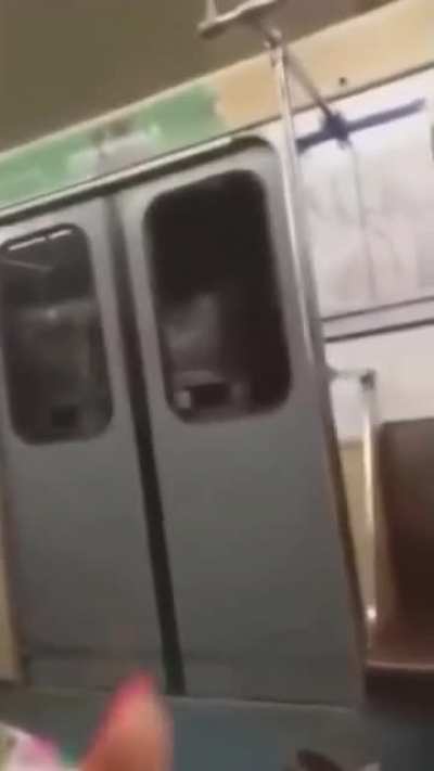 Subway Chaos