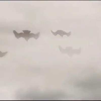 Fly eagles fly!