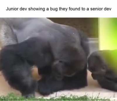 Gorilla business