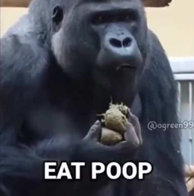 🅱OO🅱 🦍