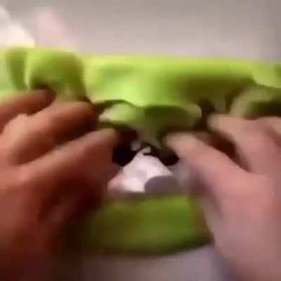 rule