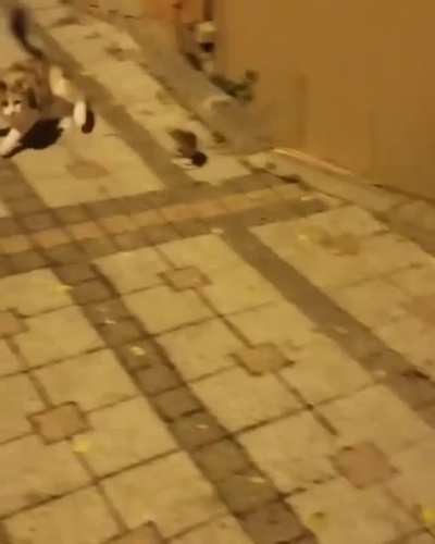 Not today