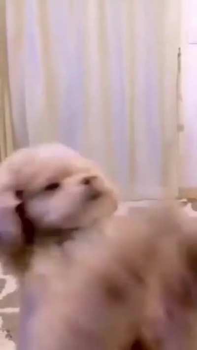 dancing like nobody elese