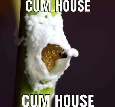 Gamer house
