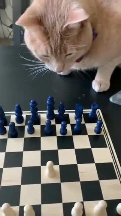 Your tactics confuse and frighten me sir.