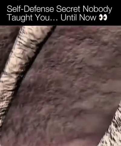 bet you haven&rsquo;t seen this one before