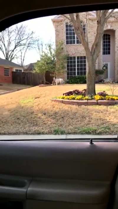 Target Acquired