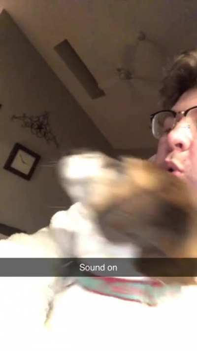 Perfectly cut r/mlem ???