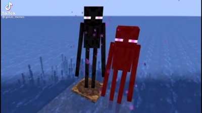 Enderman really said "If we go down then we go down together"