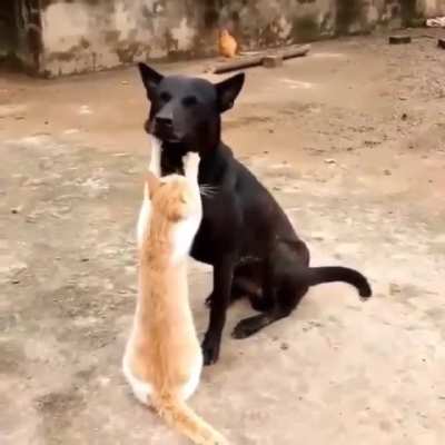Don&rsquo;t know if this has been cross posted here before but&hellip; cutest knead ever ❤️