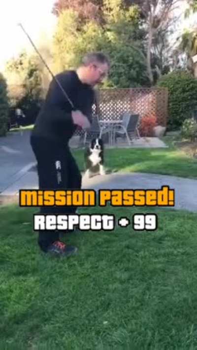 Cat got oofed