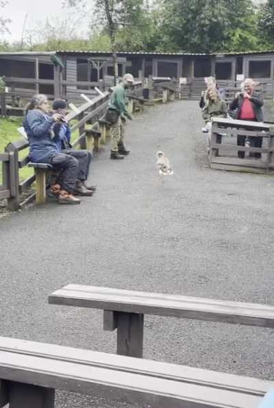 This guy&rsquo;s run really cheered me up today&hellip;