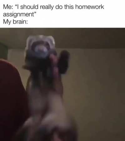 me_irl