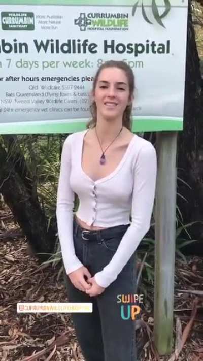 Currumbin wildlife hospital...video (" ,)