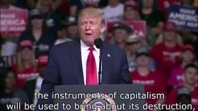 Omg I miss him! Bring back Comrade Trump