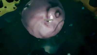 I will dip my balls in liquid morkite