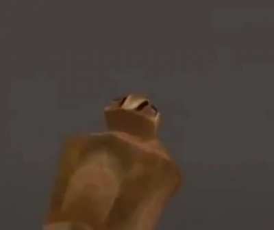 ㅤㅤㅤㅤㅤㅤㅤㅤㅤㅤㅤㅤ