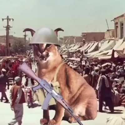 Я хочу скачать видео, поэтому публикую сюда