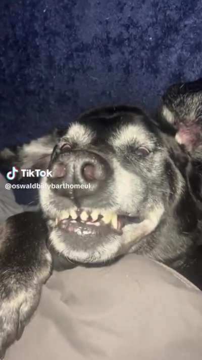 😴😴😴